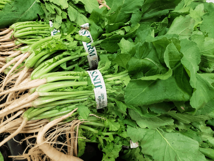 Korean Radish