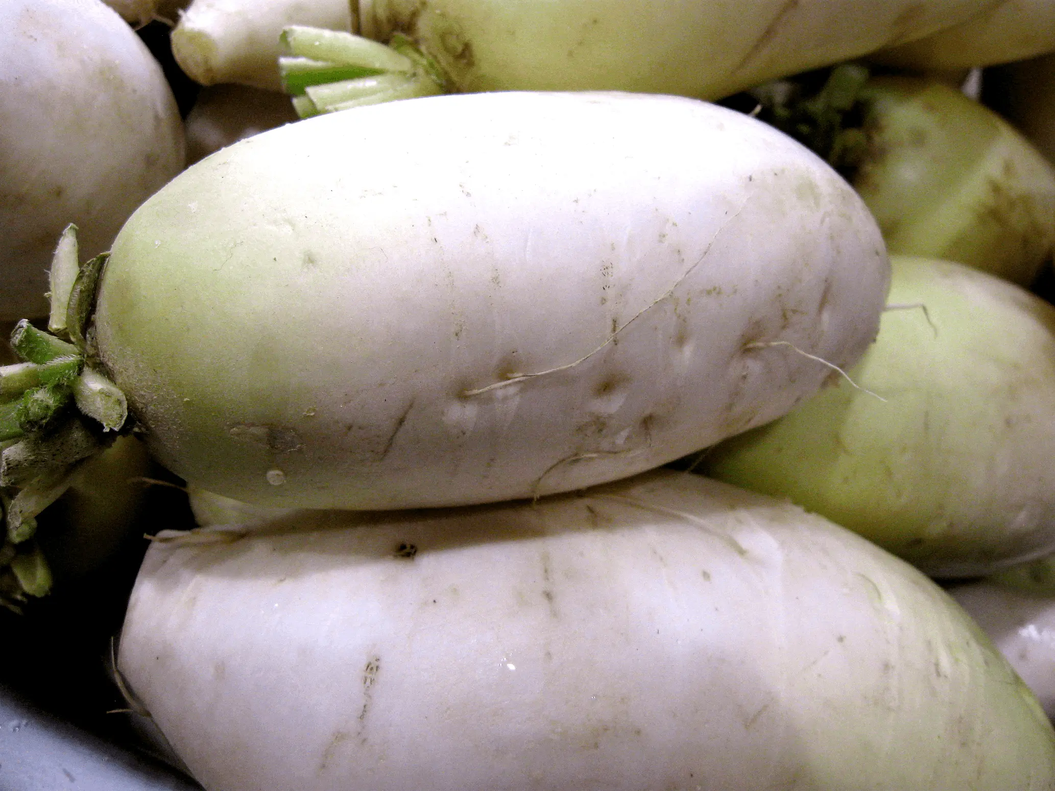 Mu - Korean Radish