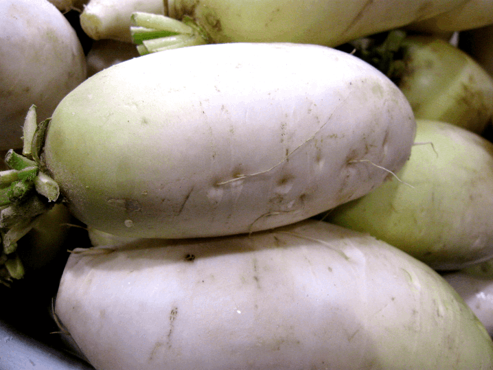Korean Radish